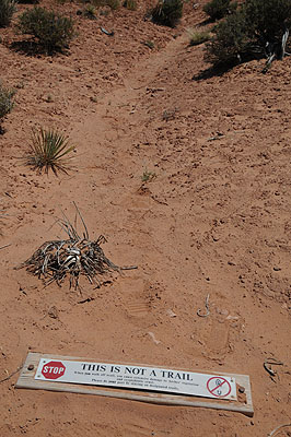 DSC_1850.jpg (4288x2848) NIKON D300 - 18-200mm f/3.5-5.6 // F11 // 1/500 sec // ISO 400 // 27,0 mm // no Flash // 2008:07:10 12:05:12 DSC_1850.jpg (4288x2848) NIKON D300 - 18-200mm f/3.5-5.6 // F11 // 1/500 sec // ISO 400 // 27,0 mm // no Flash // 2008:07:10 12:05:12